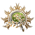 Druid